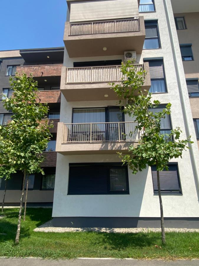 Good Vibes Apartment Орадя Экстерьер фото